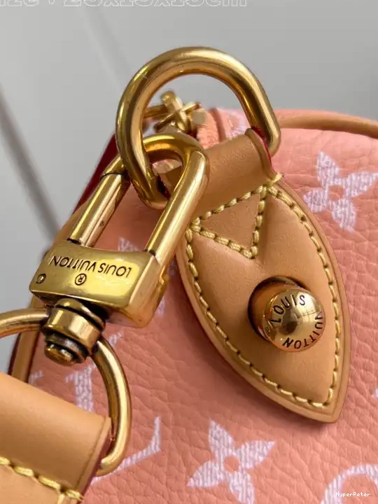 SPEEDY Louis Vuitton 25 0706